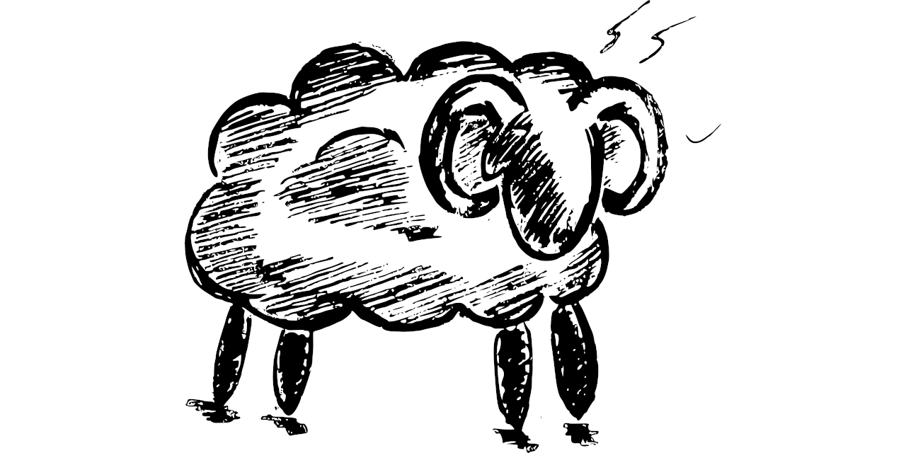 Neoteroi/BlackSheep